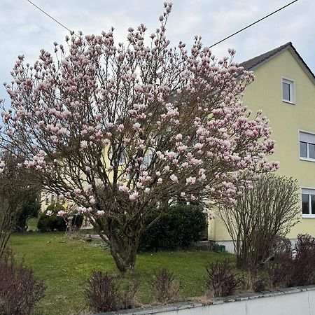 W&P Living Wohnung Mit Ausblick - Parkplatz Biberbach  Dış mekan fotoğraf