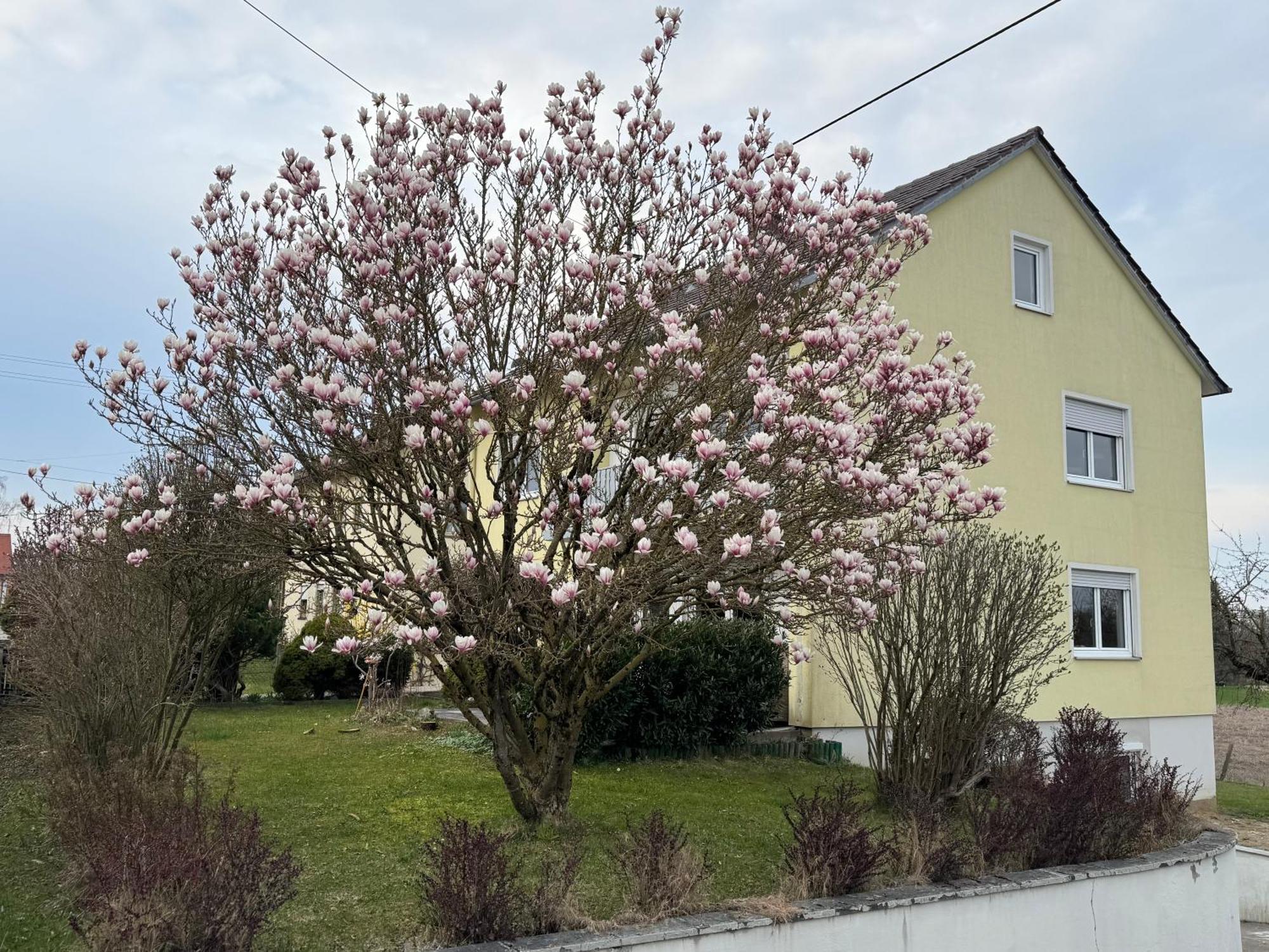 W&P Living Wohnung Mit Ausblick - Parkplatz Biberbach  Dış mekan fotoğraf